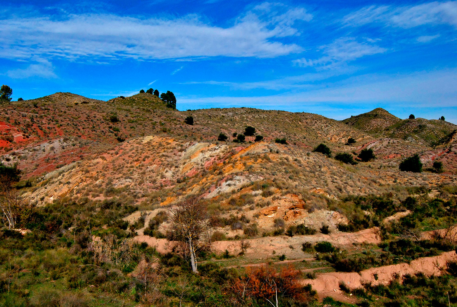 Turismo Teresa de Cofrentes