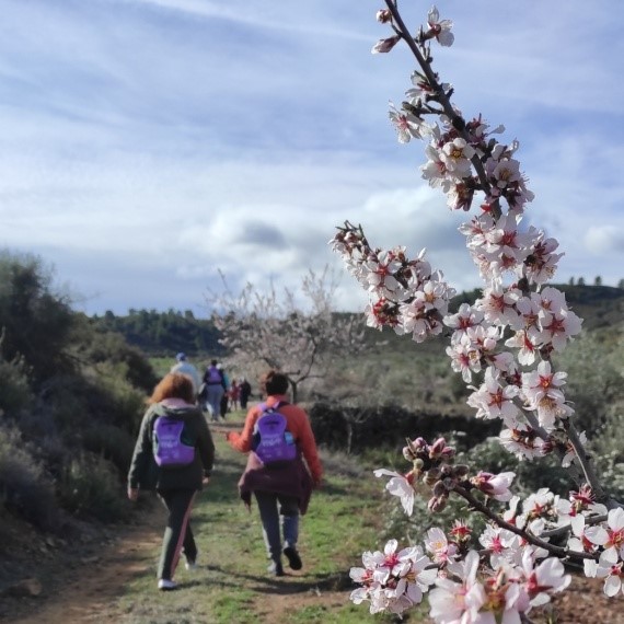 Turismo Teresa de Cofrentes
