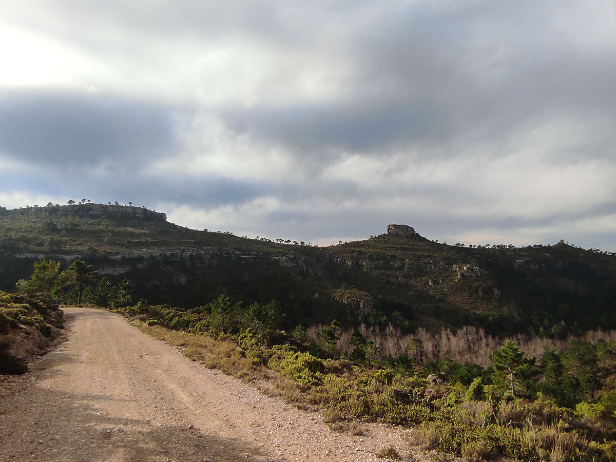 Turismo Teresa de Cofrentes
